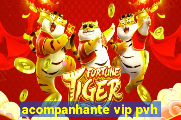 acompanhante vip pvh